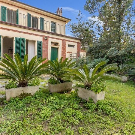 Il Gladiolo - Focette 100Mt From Sea - Happy Rentals マリーナ・ディ・ピエトラサンタ エクステリア 写真